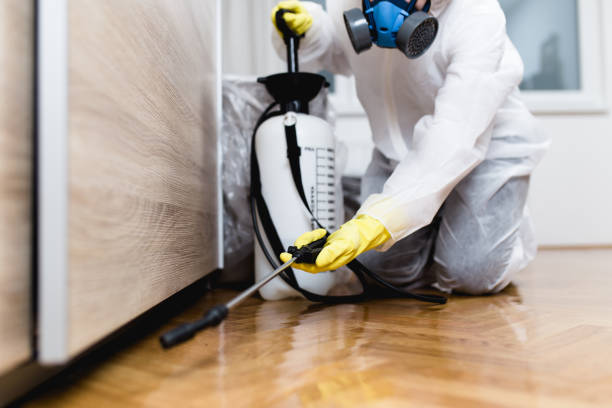 Pest Prevention Services in Mount Hope, NJ