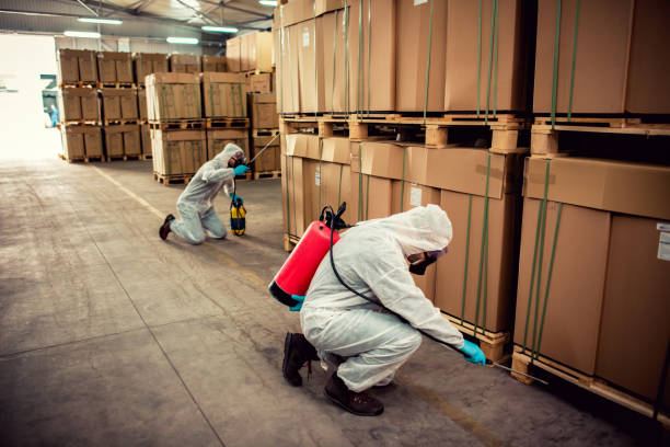 Best Best Pest Control Near Me  in Mount Hope, NJ