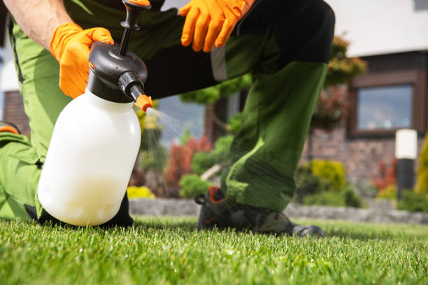 Best Termite Control Services  in Mount Hope, NJ