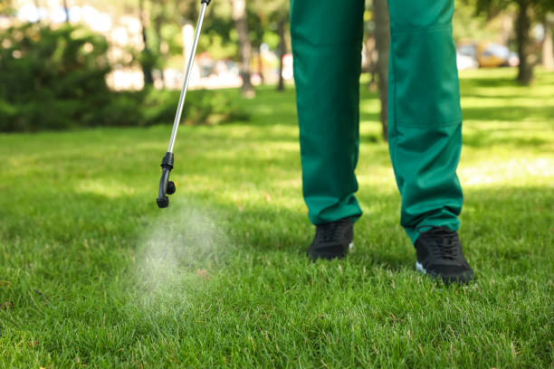 Best Bed Bug Extermination  in Mount Hope, NJ