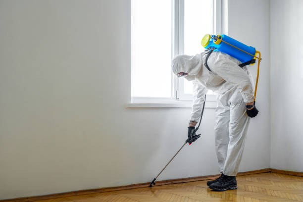 Best Local Pest Control Services  in Mount Hope, NJ