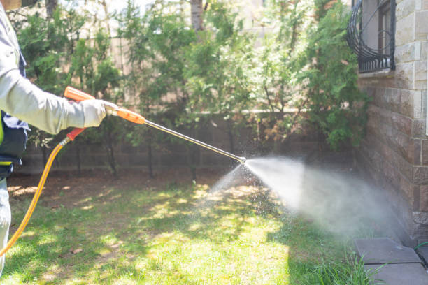 Best Pest Control Near Me in Mount Hope, NJ