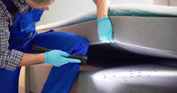 Best Best Pest Control Companies  in Mount Hope, NJ
