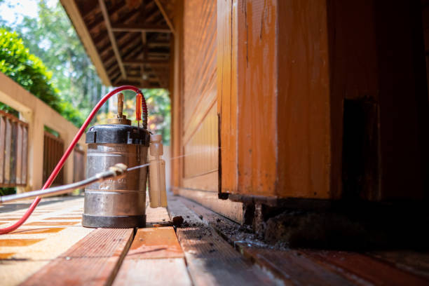 Pest Control for Restaurants in Mount Hope, NJ