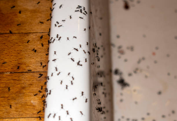 Best Wildlife Control Services  in Mount Hope, NJ