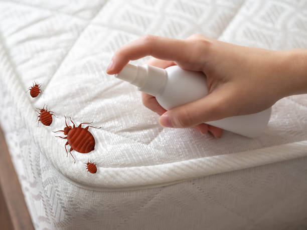 Best Pest Control Near Me  in Mount Hope, NJ