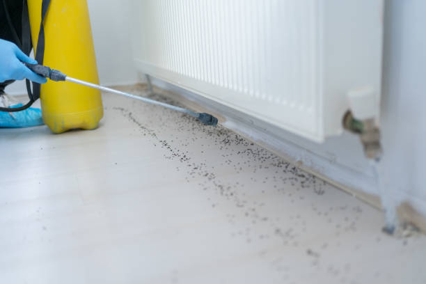 Mount Hope, NJ Pest Control Company