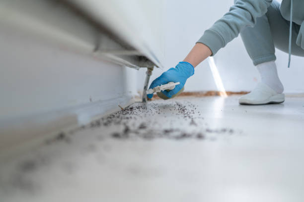 Best Mosquito Control Services  in Mount Hope, NJ