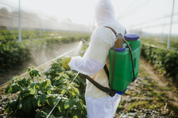  Mount Hope, NJ Pest Control Pros